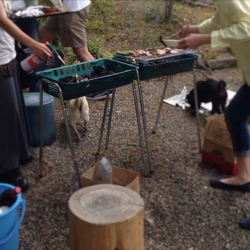 GWは友達宅の庭でパグ主&パグのBBQパーティー！|黒パグ.ヨシコさん