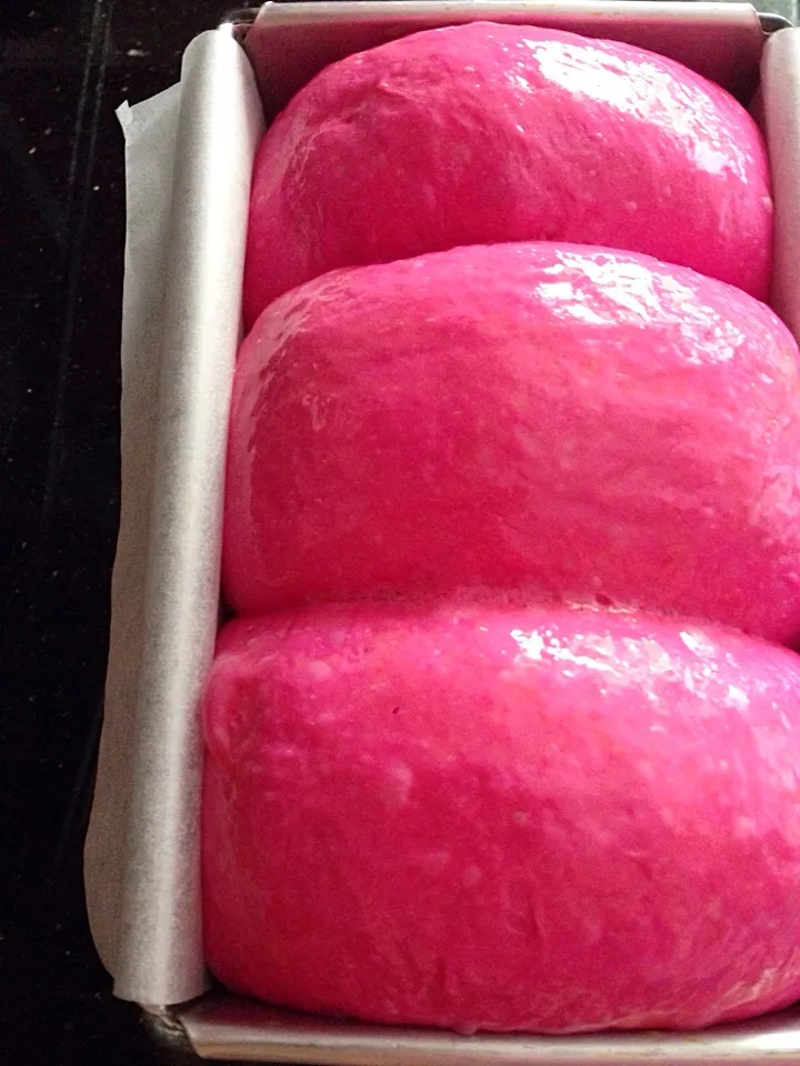 Snapdishの料理写真:Beetroot Hokkaido milk loaf before baking|coxiella24さん