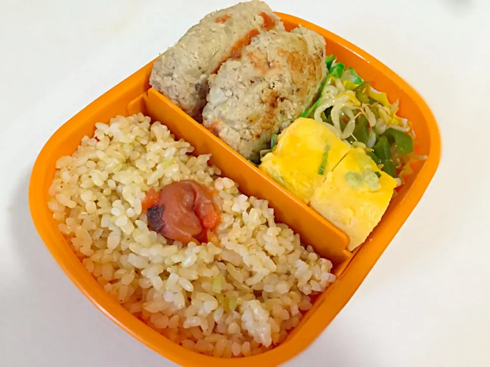 5/11のお弁当|しおり。さん