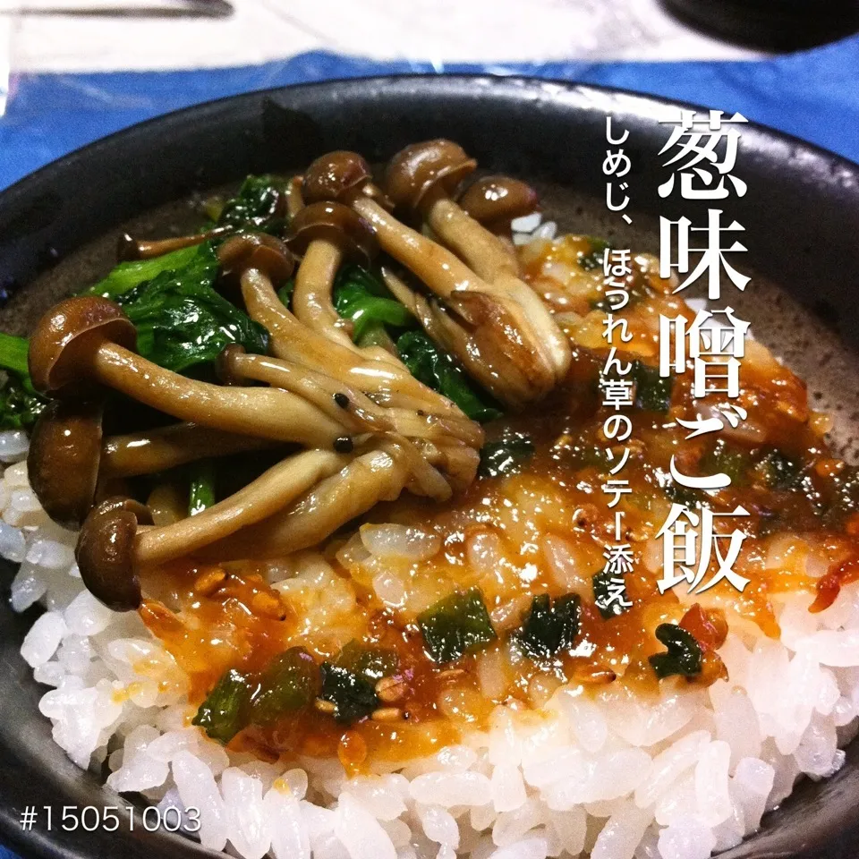 Snapdishの料理写真:#15051003 葱味噌ご飯|dune725さん