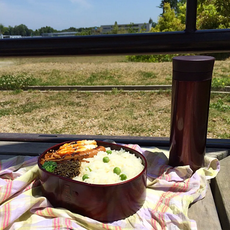 ピクニック・ランチ♬ (▰˘◡˘▰)☝︎|Yoshinobu Nakagawaさん