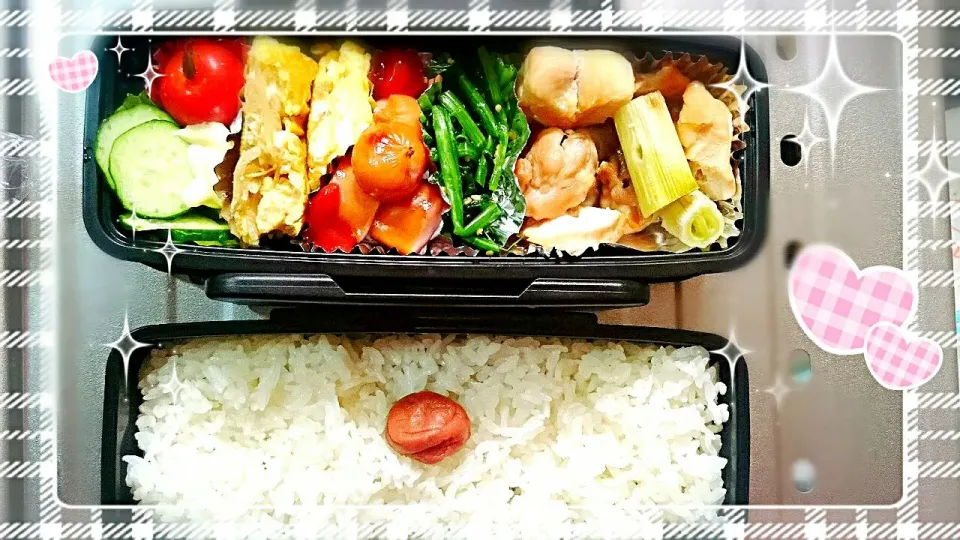 今日のお弁当 15・05・11|めぐりさん