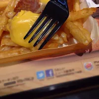 Snapdishの料理写真:BK cheesey fried|노도카^__^さん