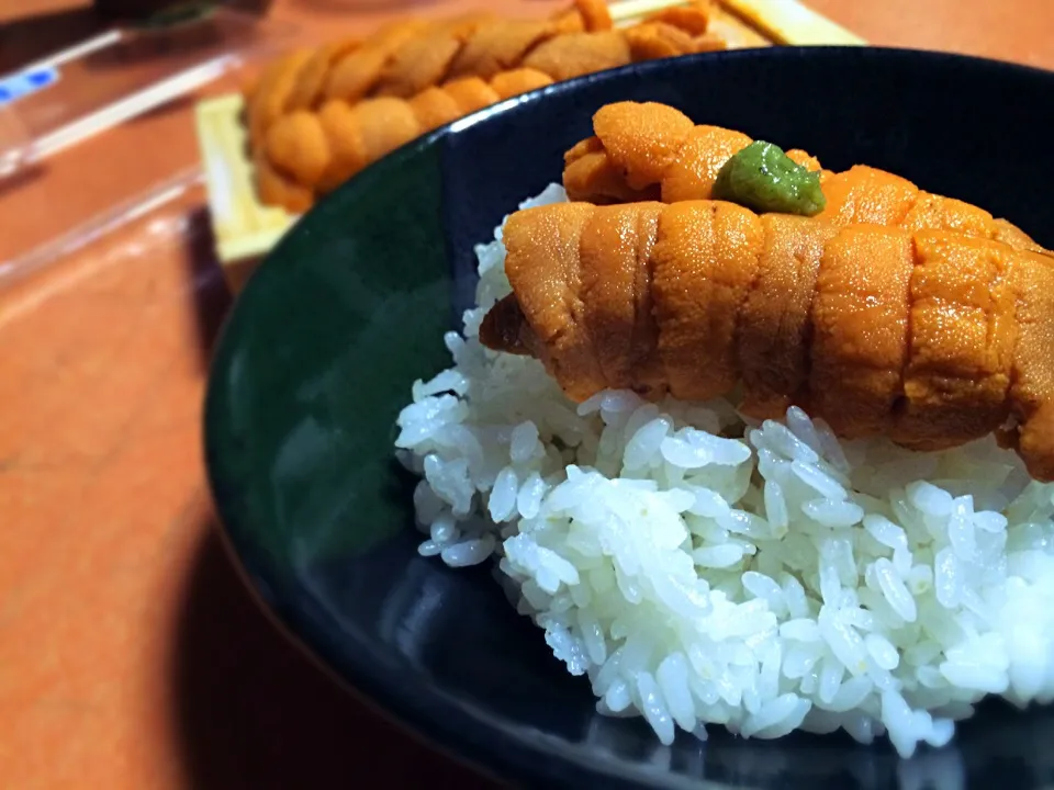 昨夜の夜食 雲丹乗っけただけご飯|やまださん