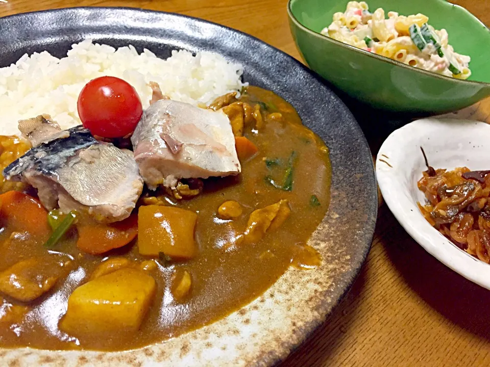 頭の良くなるサバと貧血予防のほうれん草カレー&ツナとキュウリのマカロニサラダ&美味しすぎる福神漬|ちもこさん