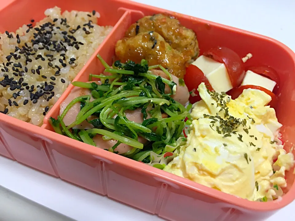 お弁当|はるかさん