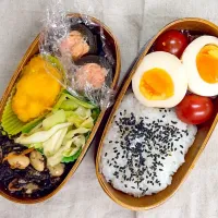 Snapdishの料理写真:シャケの昆布巻き弁当|ちゃきさん