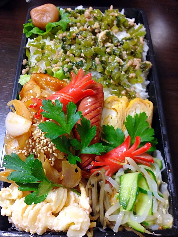 Snapdishの料理写真:けんちゃん弁当٩( ᐛ )و  風邪気味なので、辛かったら帰っておぃでぇ~😉|ikuさん