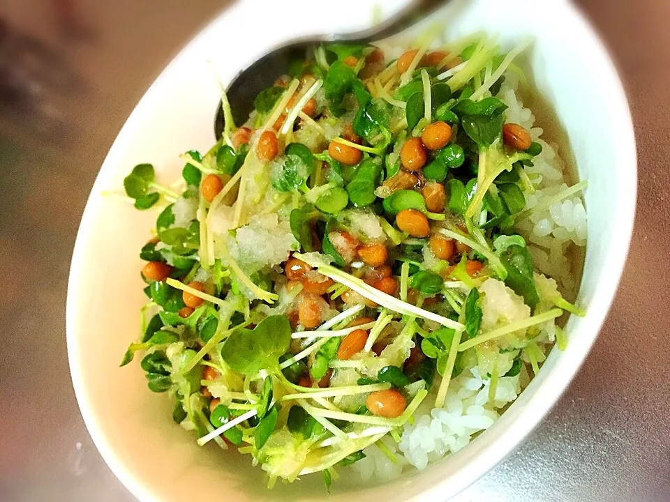 Snapdishの料理写真:カイワレ大根納豆丼|Mさん