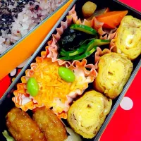 Snapdishの料理写真:肉を食べない女子高生のお弁当|Mitsu Tomaさん