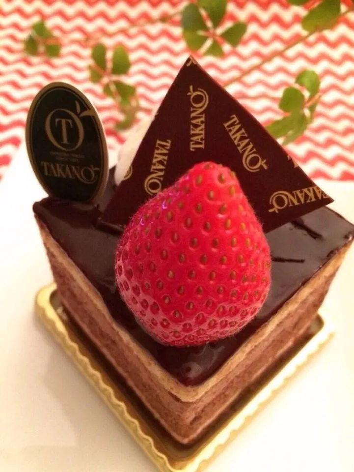 TAKANOフルーツパーラーで買って来た大きな苺の🍓チョコレートケーキ🍫😋💕

#TAKANOFRUITSPARLOR
#高野フルーツパーラー
#デザート #dessert #cake 
#strawberry #イチゴ #chocolate #チョコレート|chieさん