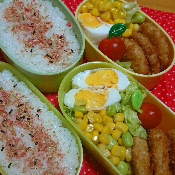 5/13(水)の二人弁当🍱|ふみぃさん