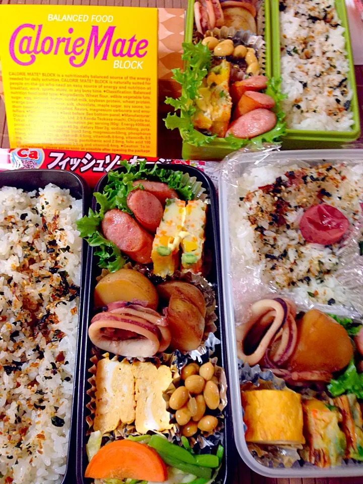 息子弁当22日目！テスト期間なので家で食べる用〜(￣▽￣)部活用の軽食はカロリーメイトと魚肉ソ(^-^)我が家に新しい家族が増えました〜（≧∇≦）2匹の猫ちゃん😍|じゅんけさん