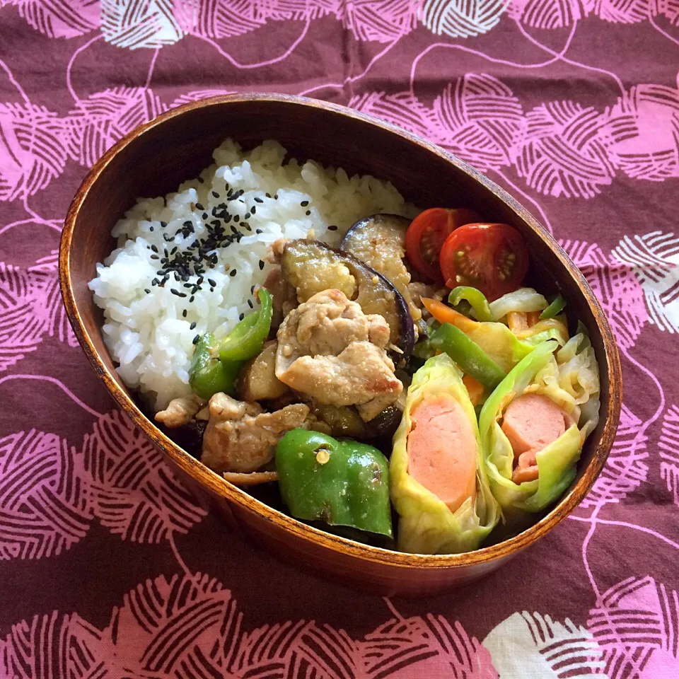 Snapdishの料理写真:5月13日パパお弁当|tomoさん