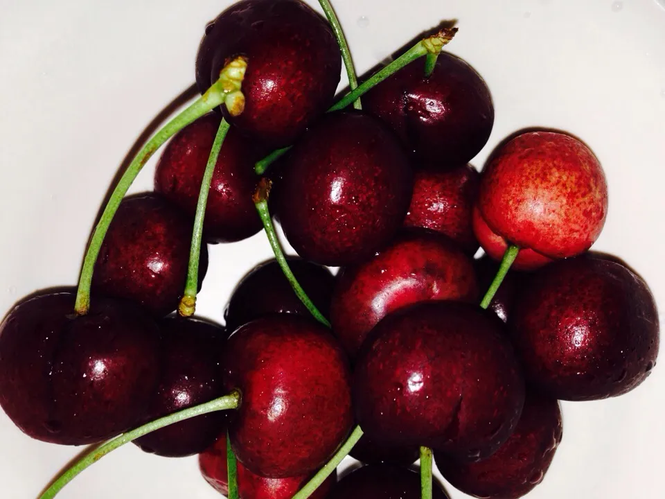 Snapdishの料理写真:American Cherries .. May 13/2015|Deana/Akinaさん