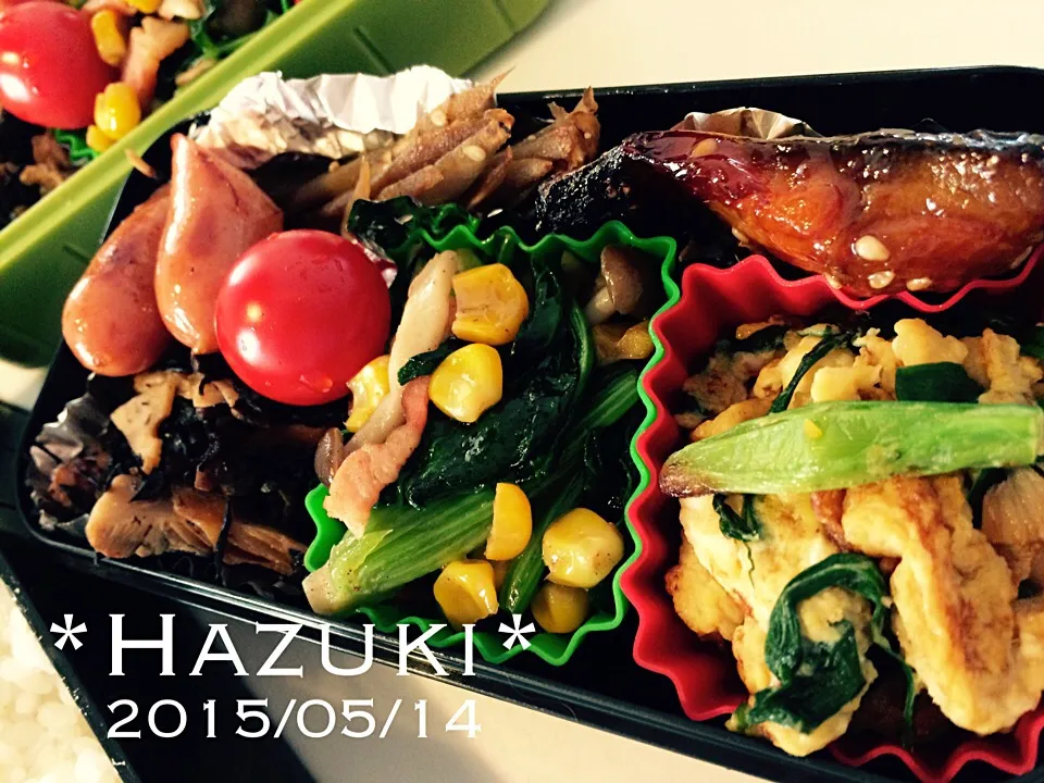 Snapdishの料理写真:高校生息子弁当|Hazukiさん