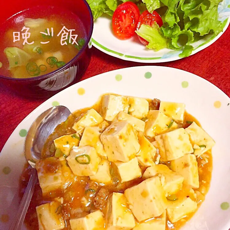 2015.5.14麻婆豆腐と野菜スープ|yoshiさん