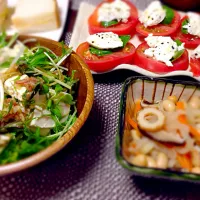 焼きヨーグルトのカプレーゼと野菜多め夕飯。|もっちさん