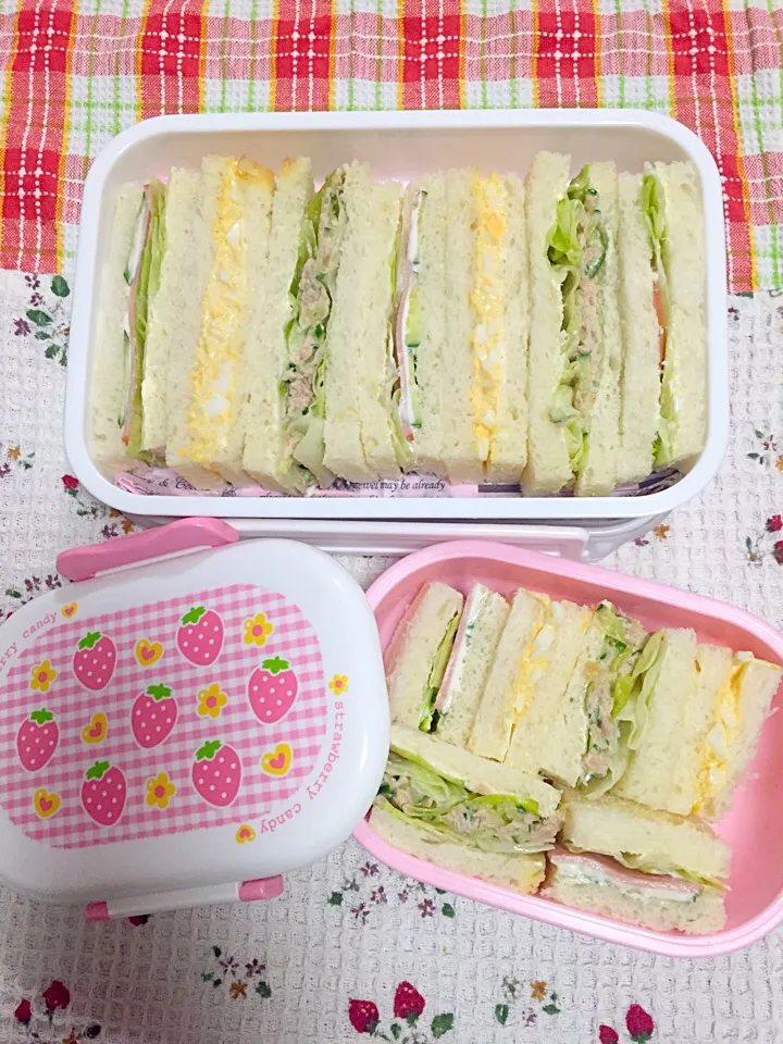 Snapdishの料理写真:お弁当.n_n.158|nacchan♪さん