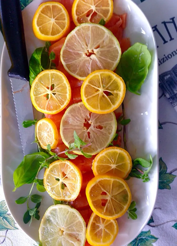 Sashimi Salmon with kumquat, lime and basil|Aliceさん