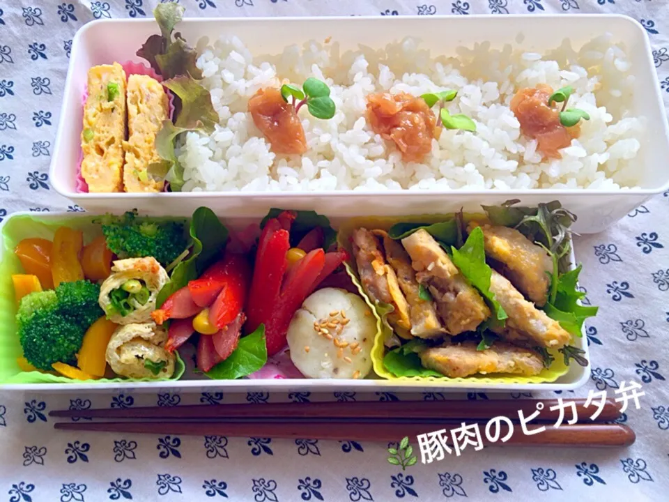 豚肉のピカタ弁当|Kanegonさん