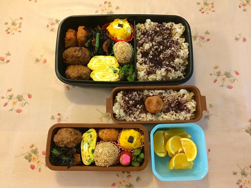 Snapdishの料理写真:5/9 子供達お弁当|春菜々さん