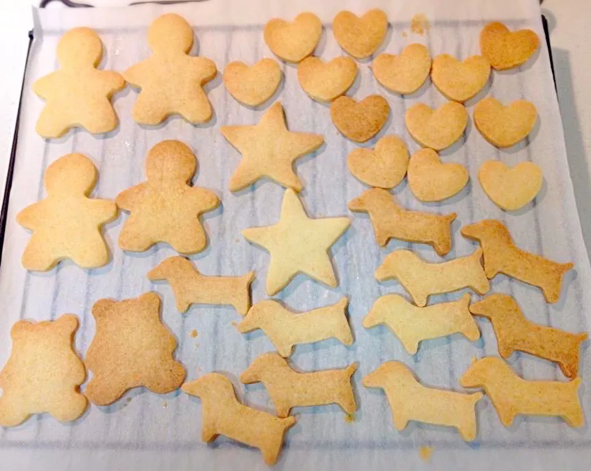 Baked a Cookies for my Puppies (ワン子のおやつです🍪🐶🐶)|💖 ジジ 💖さん