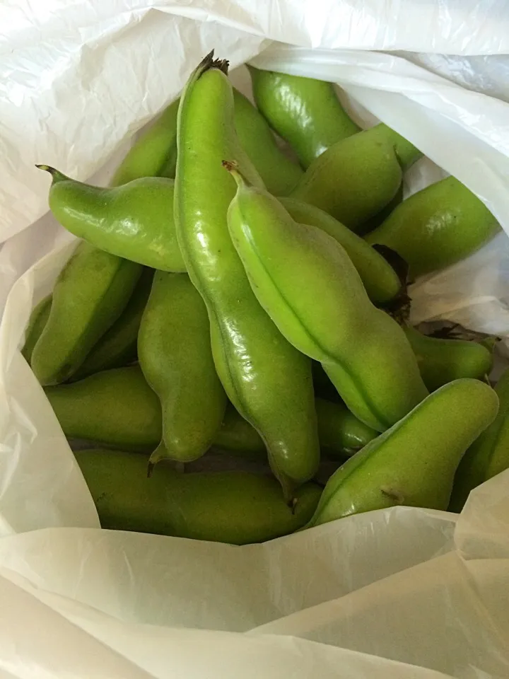 ¥100 broad beans... Sora mame|Nigelさん