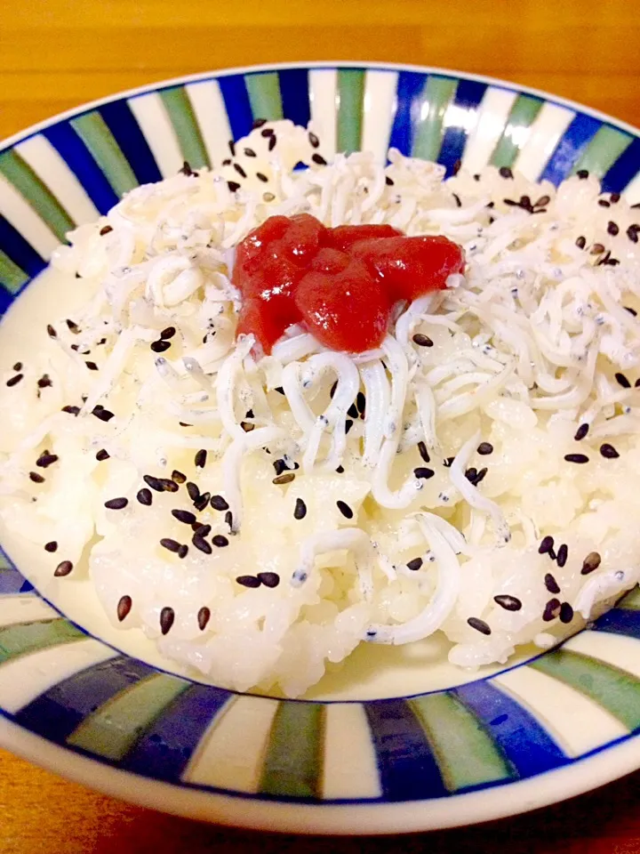 サッパリしらす丼的な🍚梅びしおもね❤️|まいりさん