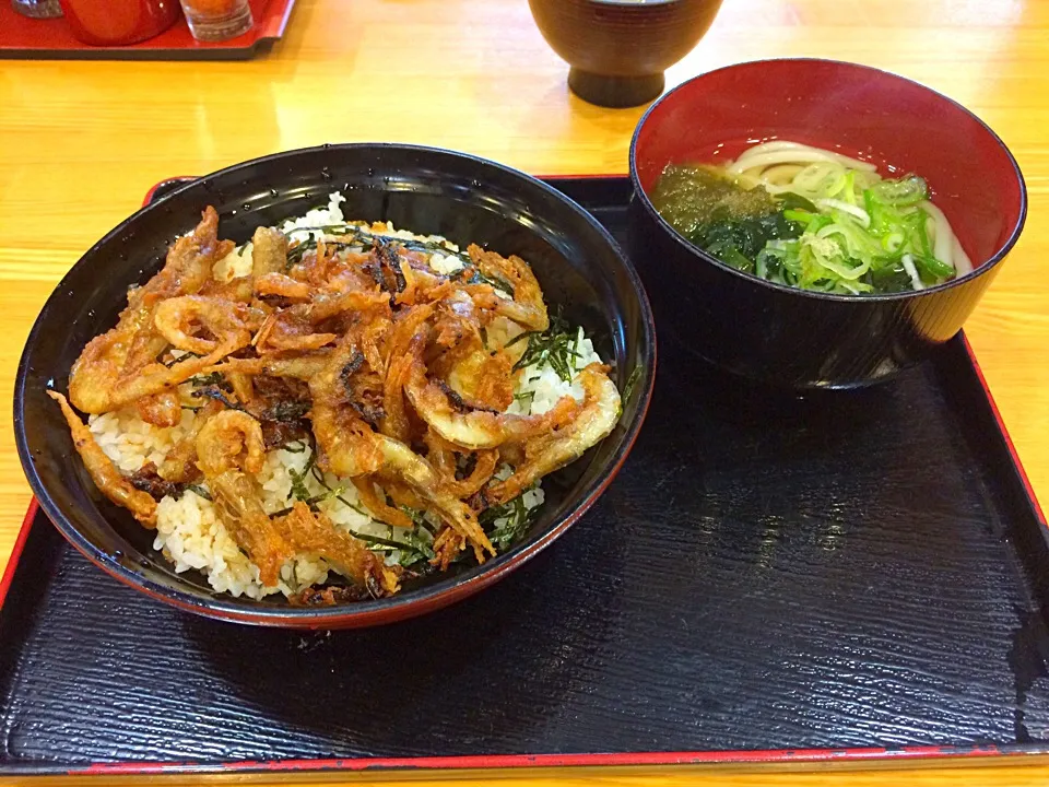 白海老かき揚げ丼ととろろ昆布うどんのセット|JUNさん