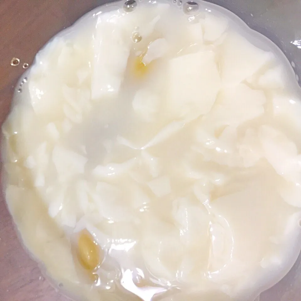 Gingko Soya beancurd dessert|Carol Cさん