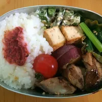 Snapdishの料理写真:お弁当|TFみーさん