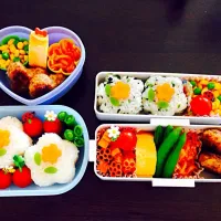 Snapdishの料理写真:☆今日は姉妹お弁当☆|cocoaさん