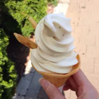 Snapdishの料理写真:安納芋のソフトクリーム|Tomoyoさん