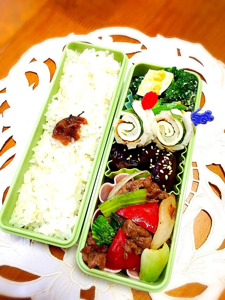 今日のお弁当5/18♡採れた野菜で何しよう❓牛肉とチンゲン菜・新玉ねぎの炒め物(*^^*)|ばろんさん