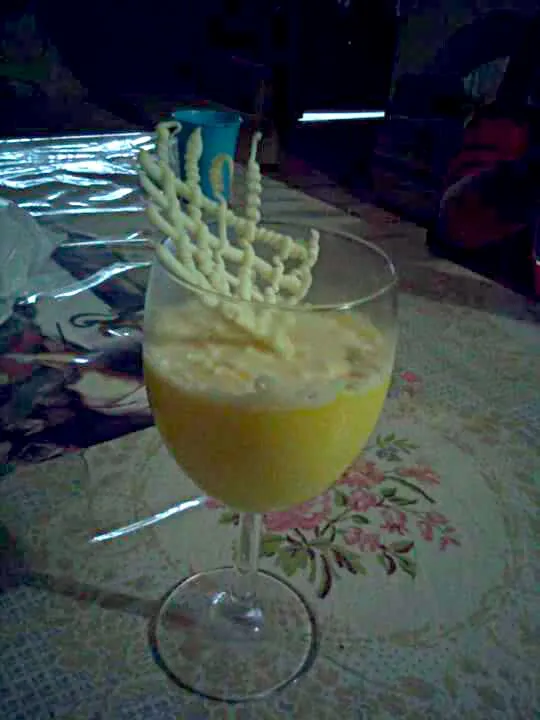 mousse de mango|josi guerreroさん