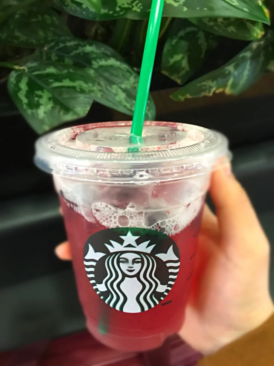 Snapdishの料理写真:Very Berry Hibiscus🍹|prinSjさん