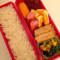 Snapdishの料理写真:お弁当|あーささん