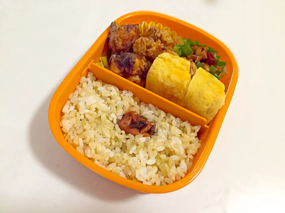 Snapdishの料理写真:5/19のお弁当|しおり。さん