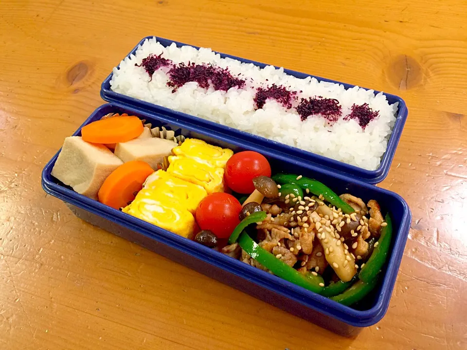 Snapdishの料理写真:2015/5/19 お弁当|ルドルフさん