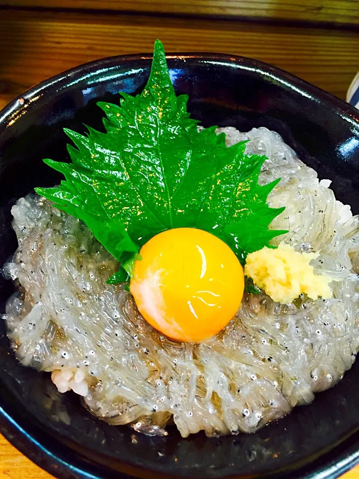 淡路の生しらす丼|オリビア姫さん