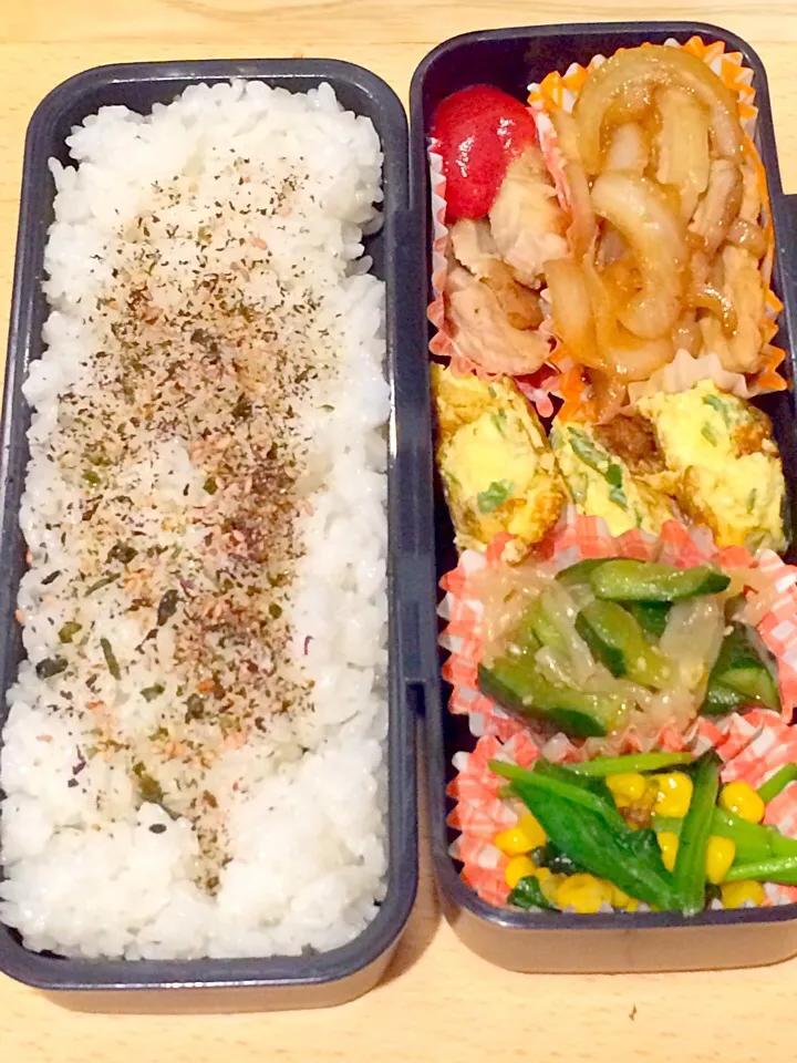 5/18 今日のお弁当|Mikiさん