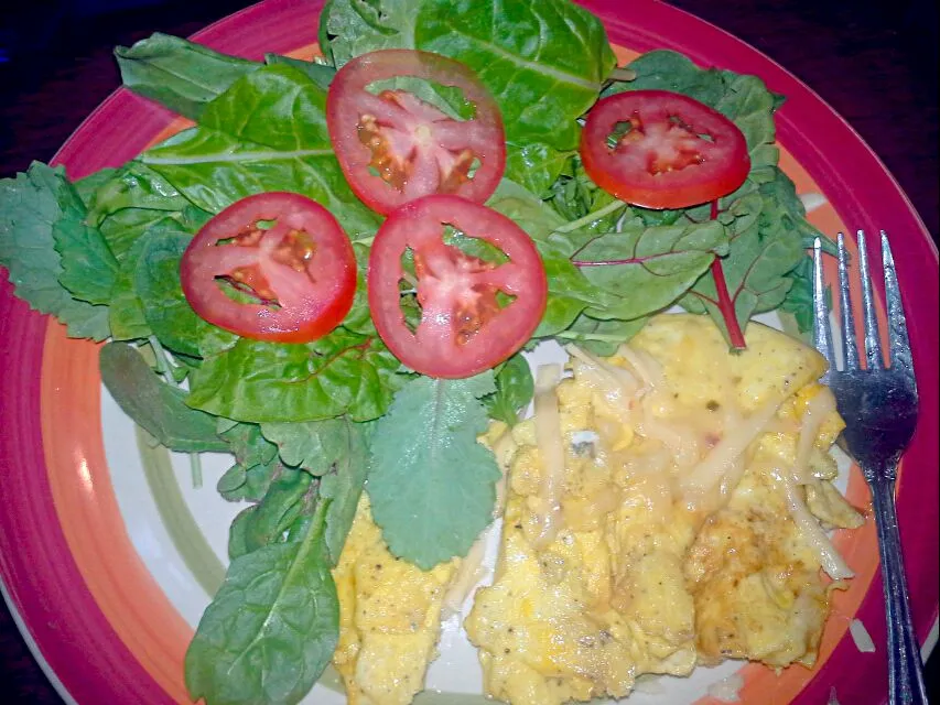 omelette and salad|Dawn Nelsonさん