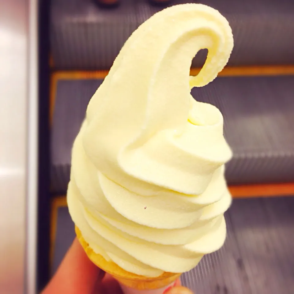 Snapdishの料理写真:Fresh cheese soft serve, Shinshu fair@Isetan|coxiella24さん