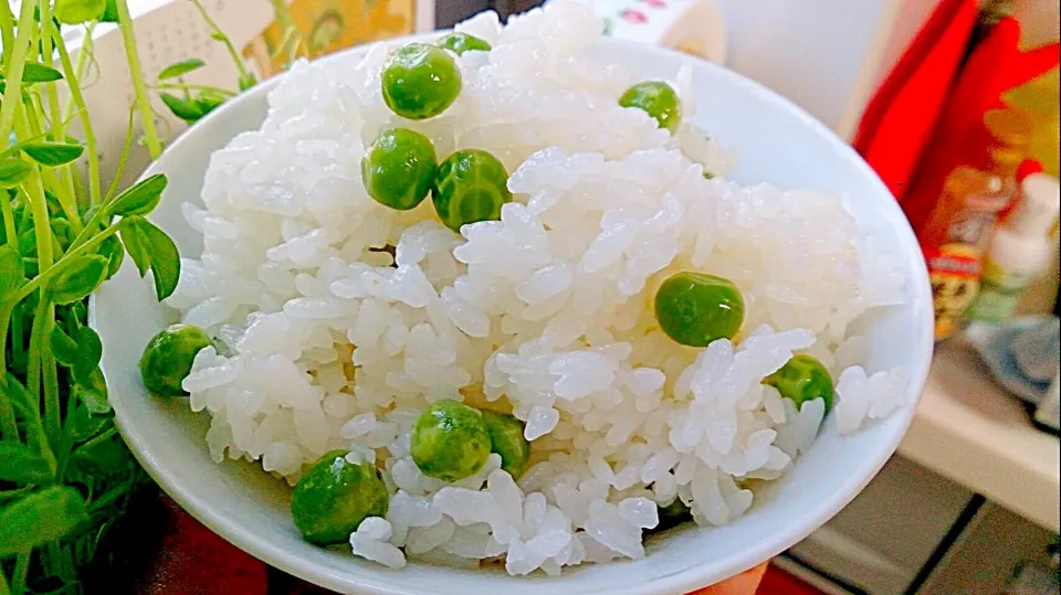 やよの豆ご飯。豆の特売の度にこれ…|やよさん