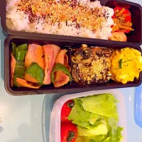 サラダ付きのお弁当|どどさん