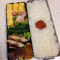 Snapdishの料理写真:もりもりボリューム弁当5.18|Masako Muraseさん