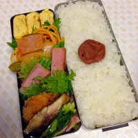 Snapdishの料理写真:もりもりボリューム弁当5.16|Masako Muraseさん