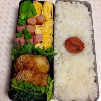 Snapdishの料理写真:もりもりボリューム弁当5.14|Masako Muraseさん