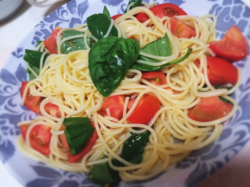 冷製パスタはじめました。トマトとバジルの冷製パスタ🍅|もえさん